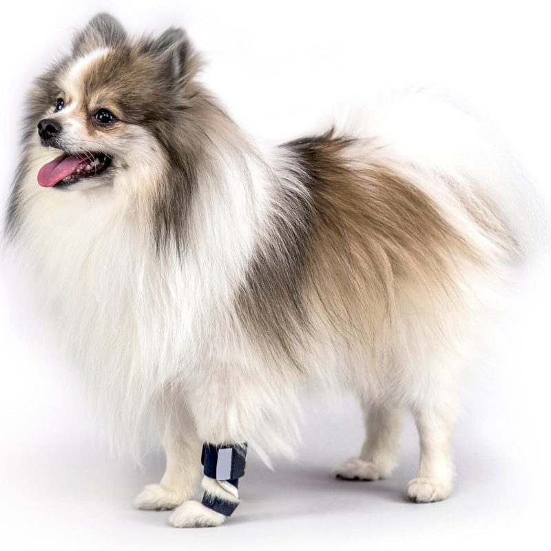 Tutore per Cani per Iperestens - Ankle Mobility Band recensione e prezzo