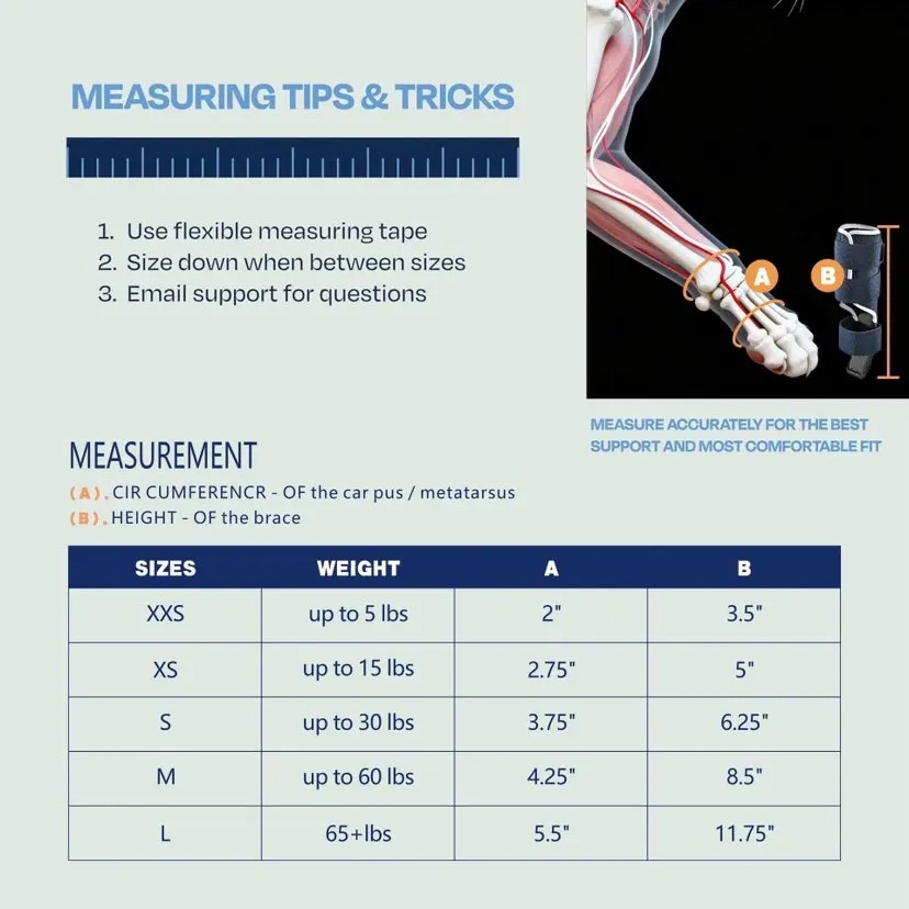 Tutore per Cani per Iperestens - Ankle Mobility Band recensione e prezzo